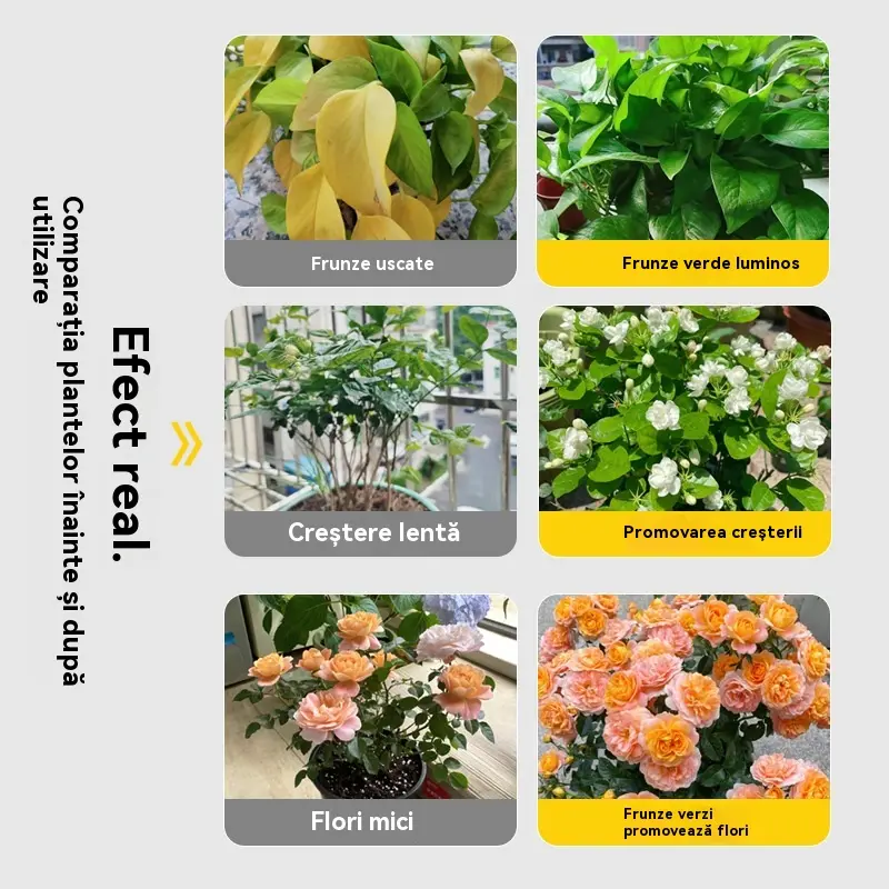 [30%OFF]🌿🌿Îngrășământ solubil în apă cu clorofilă, îngrășământ foliar pentru flori, pomi fructiferi și legume, promovează creșterea rădăcinilor, creșterea răsadurilor și crește randamentul. Îngrășământ agricol solubil în apă.