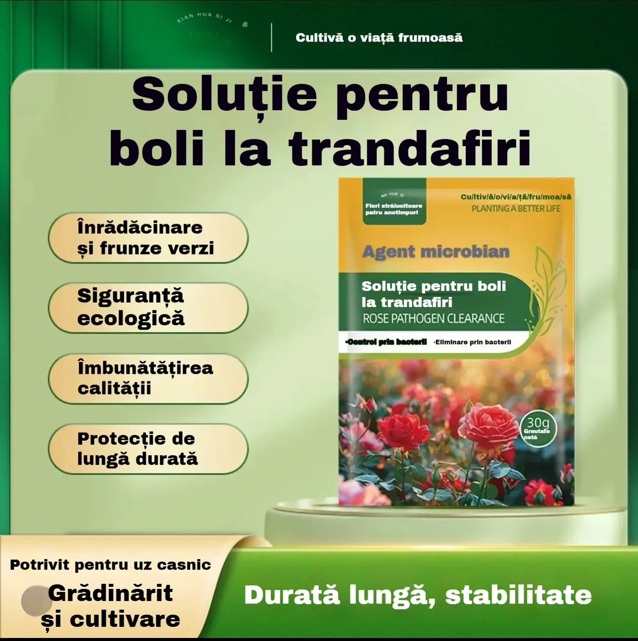 【30%OFF】🌹🌹【5/10/20 genți 】Fungicid special pentru trandafiri – elimină eficient bolile fungice ale trandafirului