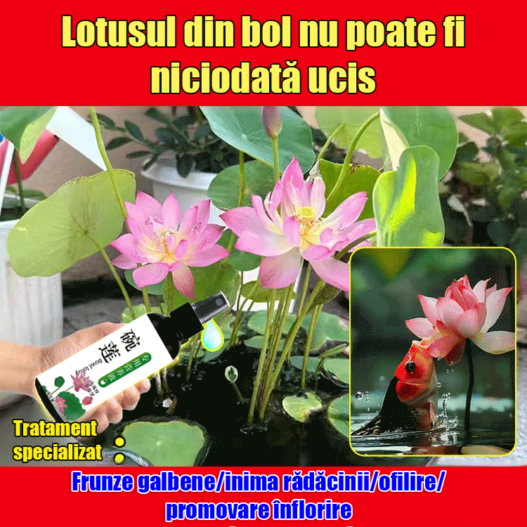 [3/6/9 sticle] Soluție nutritivă pentru plante, soluție nutritivă specială pentru nuferi