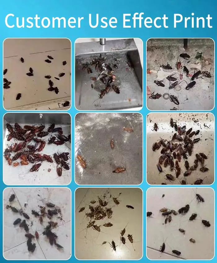 ⚡⚡【5 cutii/10 cutii】Plasture de momeală cu gel puternic pentru uciderea gândacilor