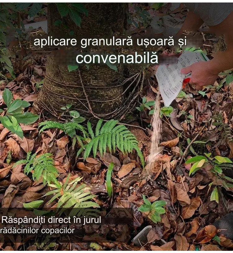 🔥【Formulă concentrată de înaltă calitate】👍🌱 Erbicid cicloazidinic,500G