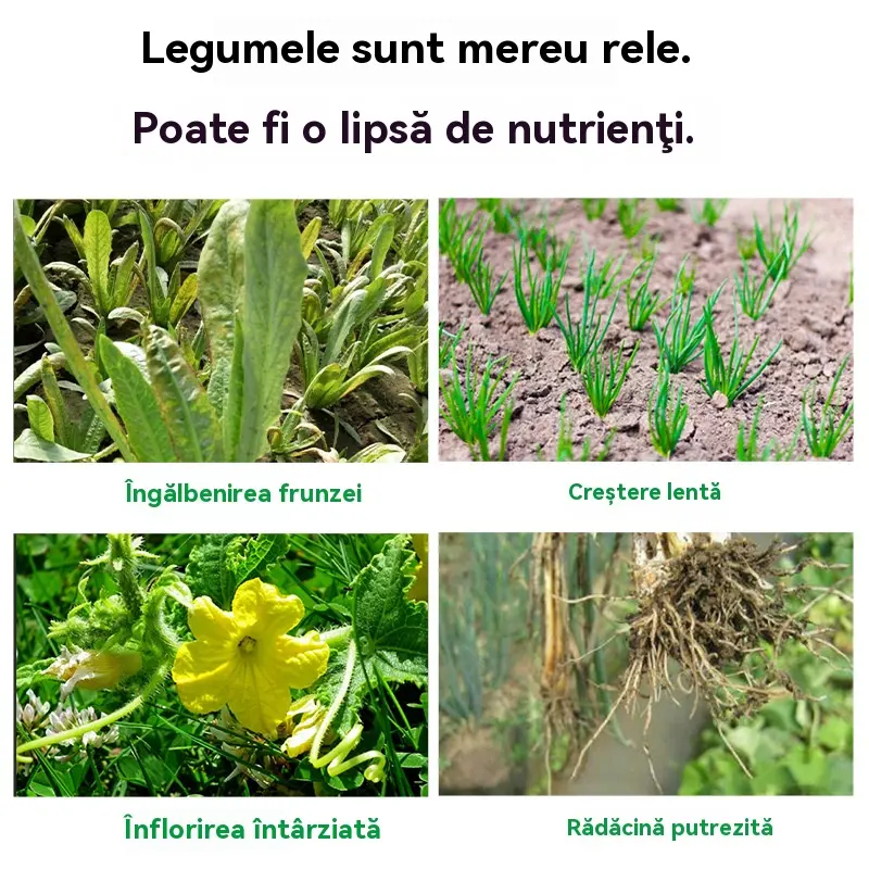 🌿Îngrășământ special pentru legume –🌱 ideal pentru grădini de balcon: varză, coriandru, ceapă verde, castraveți, roșii – utilizare prin amestec cu apă sau îngropare în sol 🌱