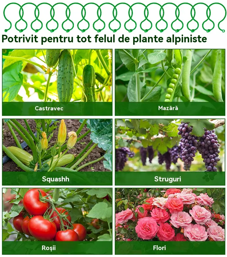 🍇【1000/1500/2000 bucăți】🌱Cleme fixe cu cataramă în formă de 8, potrivite pentru plante cățărătoare, grădini/grădini de legume/livezi, legături pentru viță de vie