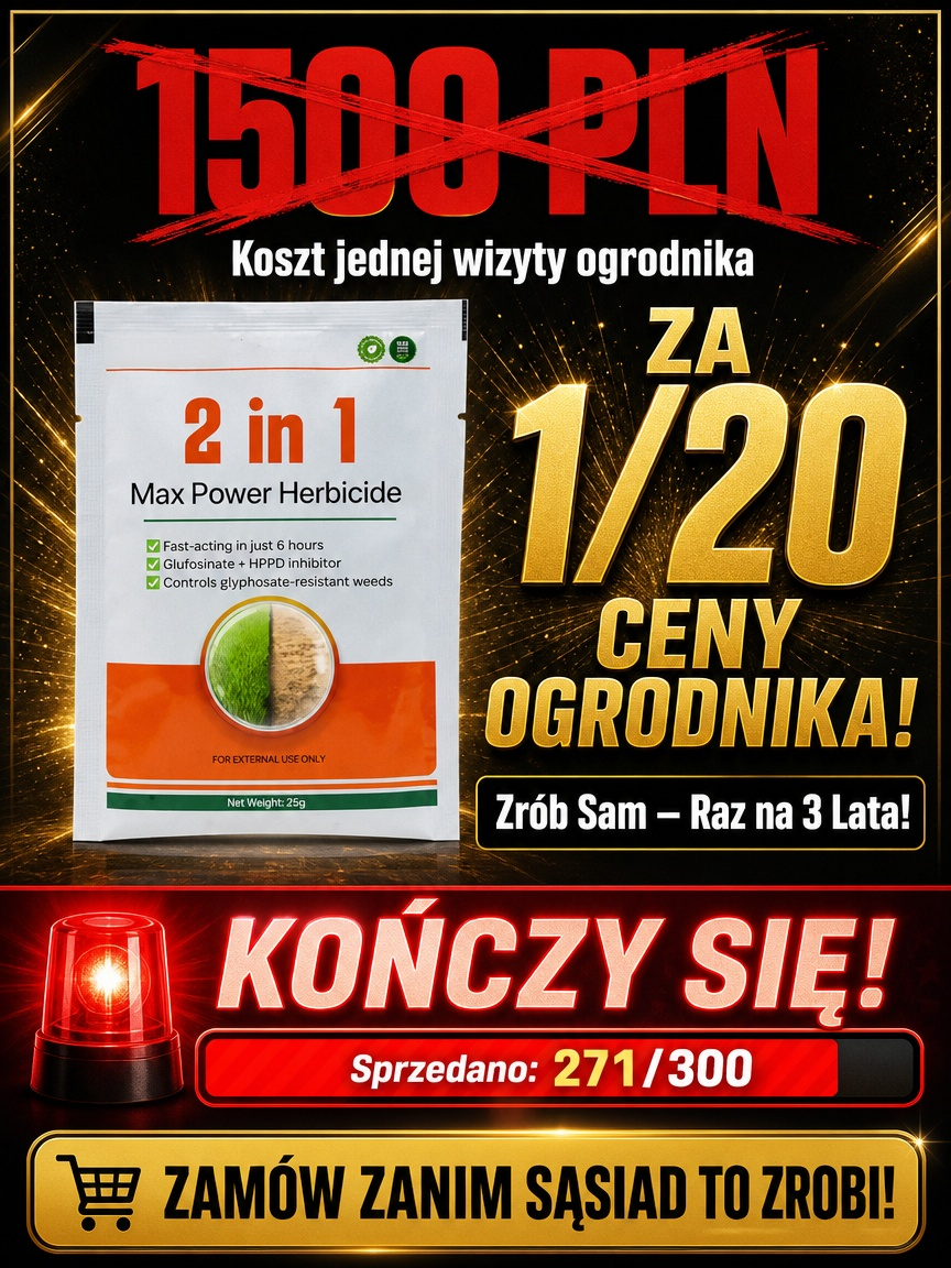 52d77391-e548-4d8d-82f4-7f69c23f7a26.png