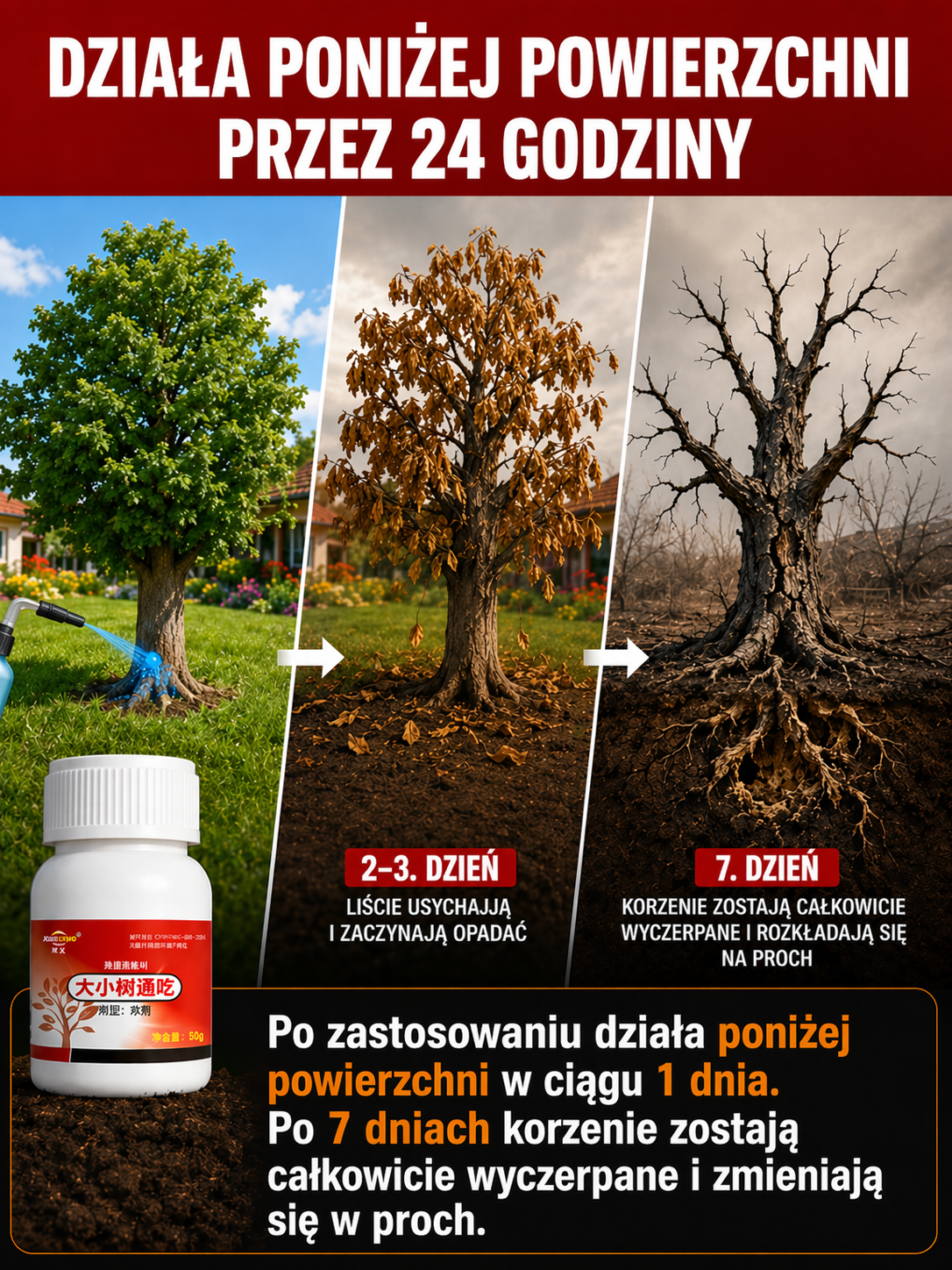 🏡 Ratunek dla Ogrodu: Pogromca Korzeni Niszczących Fundamenty i Kostkę Brukową