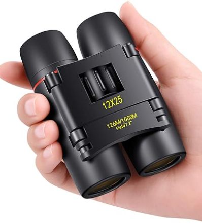 ✨Clearance sale✨MINENER 4K Night Vision Binoculars With 32GB SD Card