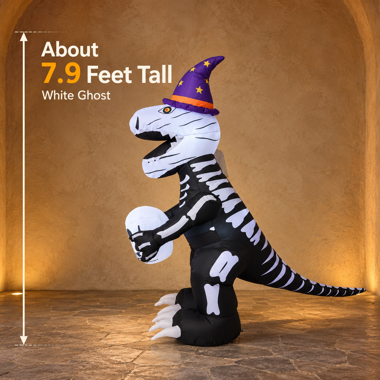 White Ghost skeletal dinosaur shown at approximately 7.9 feet tall