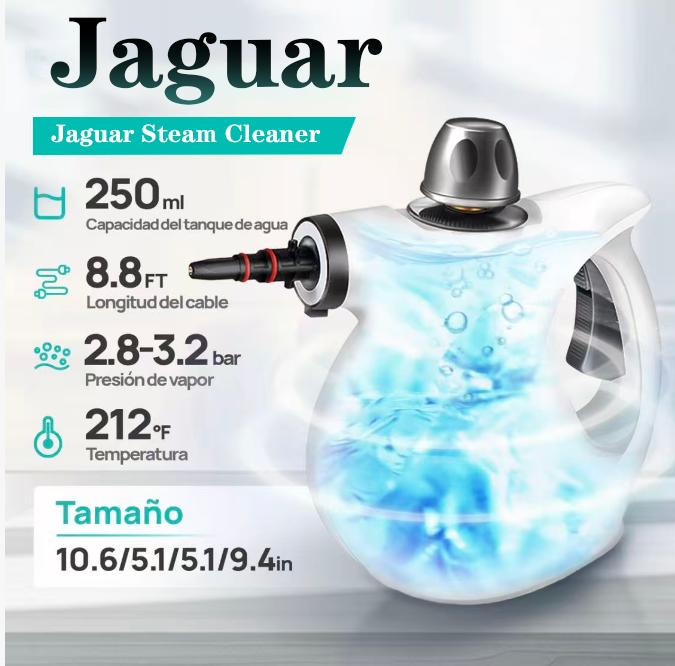 Limpiador a Vapor Portátil con 12 Accesorios para Limpieza Profunda en Cocina Baño Hogar y Automóvil