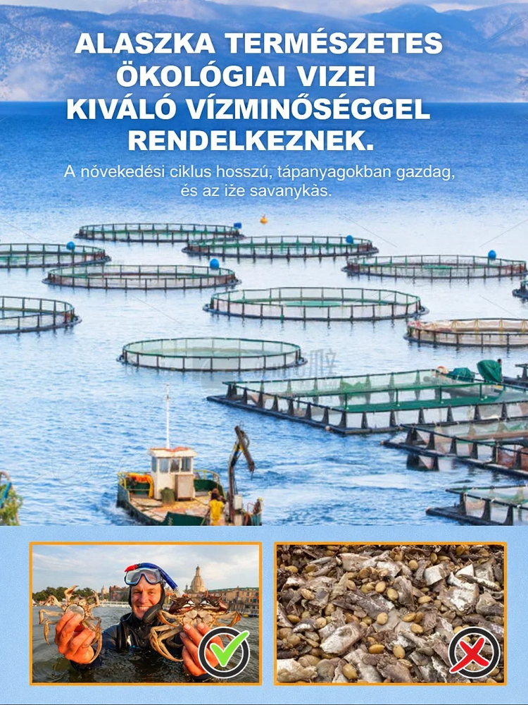 🦀Ropogós tengeri rák azonnal fogyasztható kis rákok | Egészben Ehető | Fűszeres & Umami Élmény | 0 Tartósítószer & Magas DHA/EPA