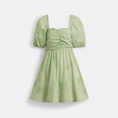 Puff Sleeve Mini Dress
