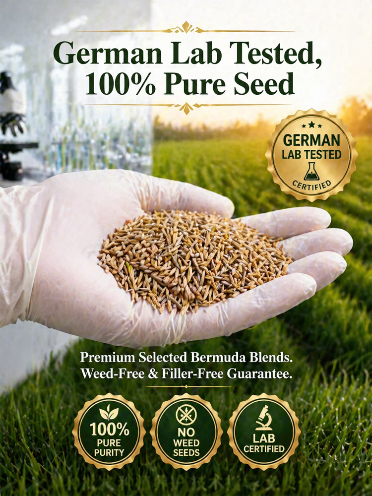 Premium grass seed blend 💎  🚀 Lush green year-round! 99% germination rate in 7 days, perfectly adapted to the American climate.
