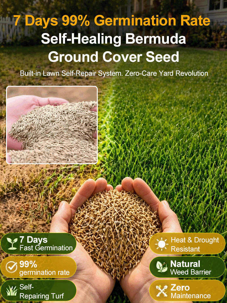 Premium grass seed blend 💎  🚀 Lush green year-round! 99% germination rate in 7 days, perfectly adapted to the American climate.