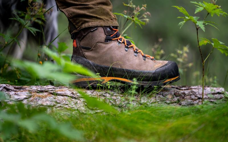 WASATCH GTX-crispi