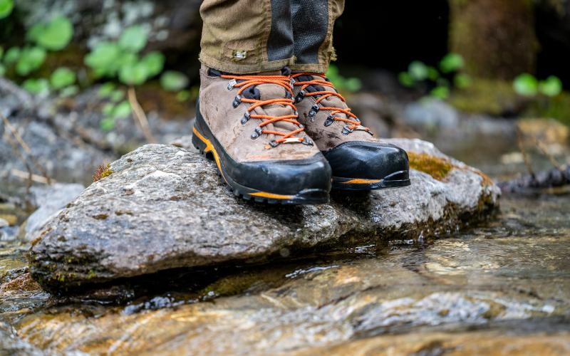 WASATCH GTX-crispi