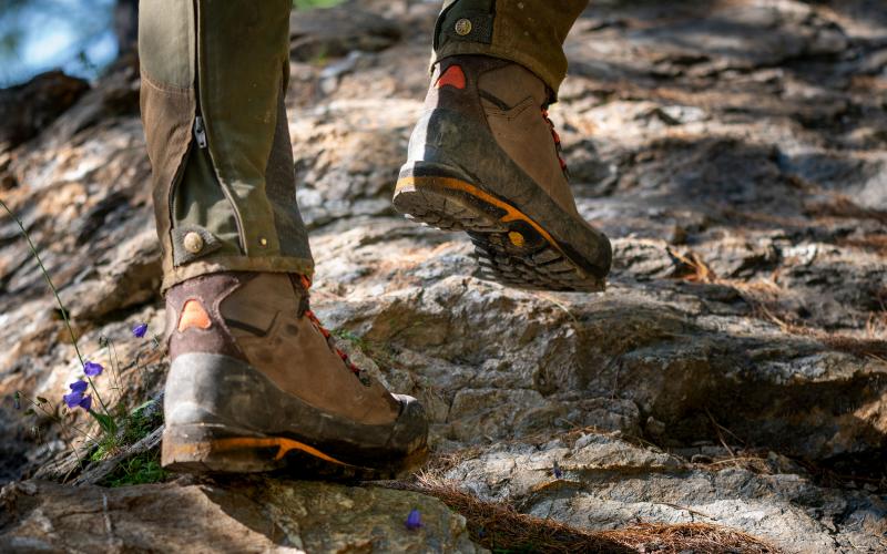 WASATCH GTX-crispi