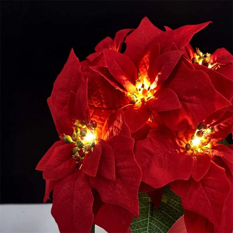 🎄Christmas Gift Decor – Poinsettia LED Garland String Lights✨