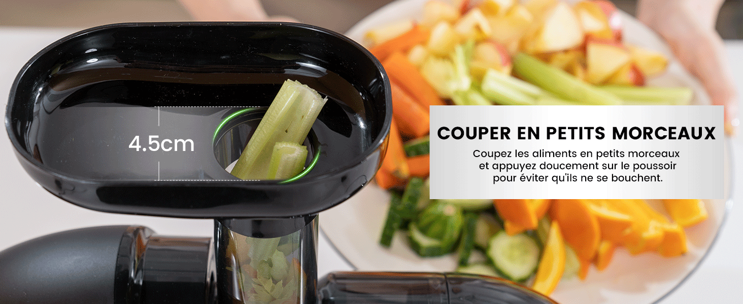 Extracteur de jus