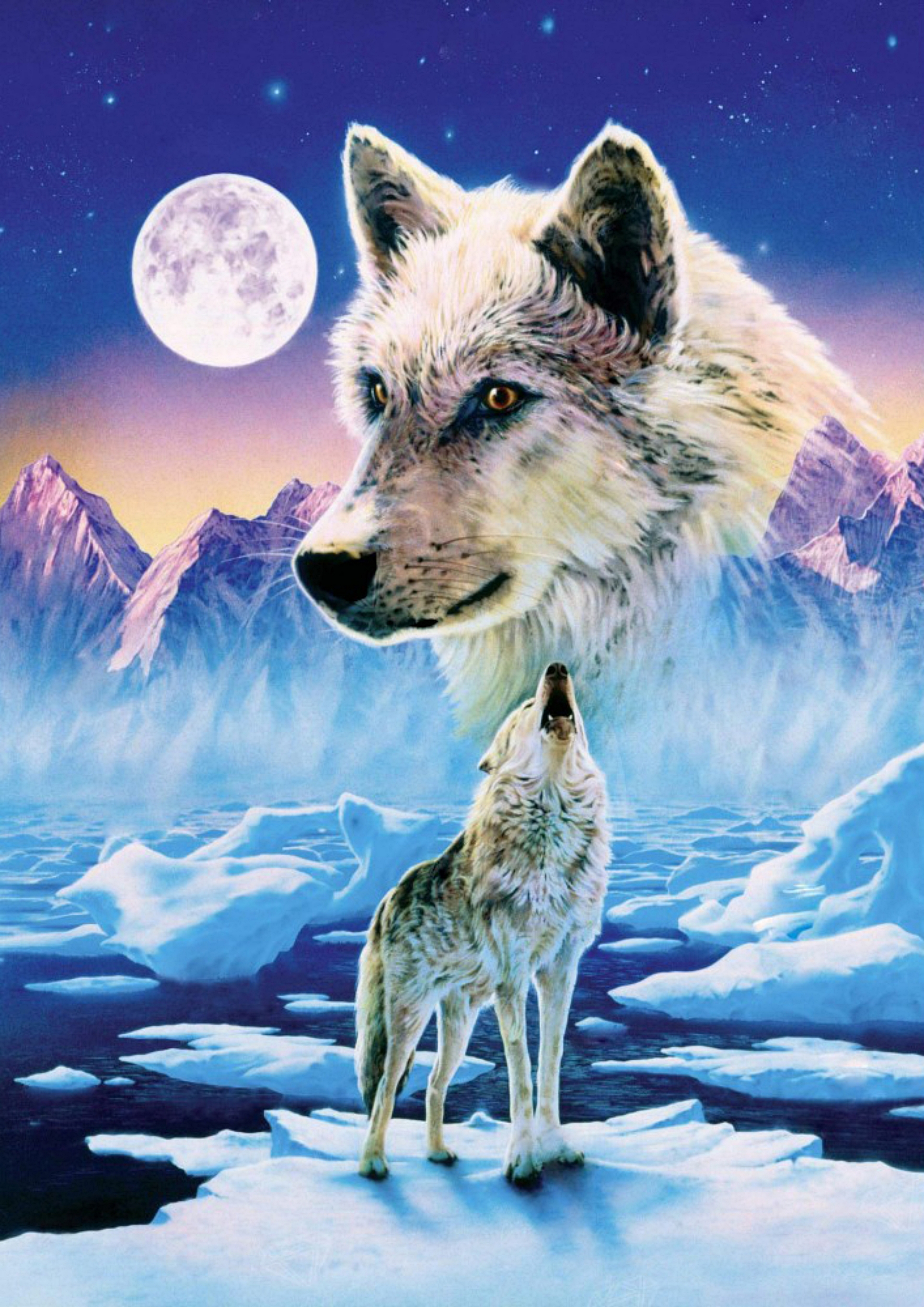 Wolf Full Moon | Diamond Painting Embroidery Kit