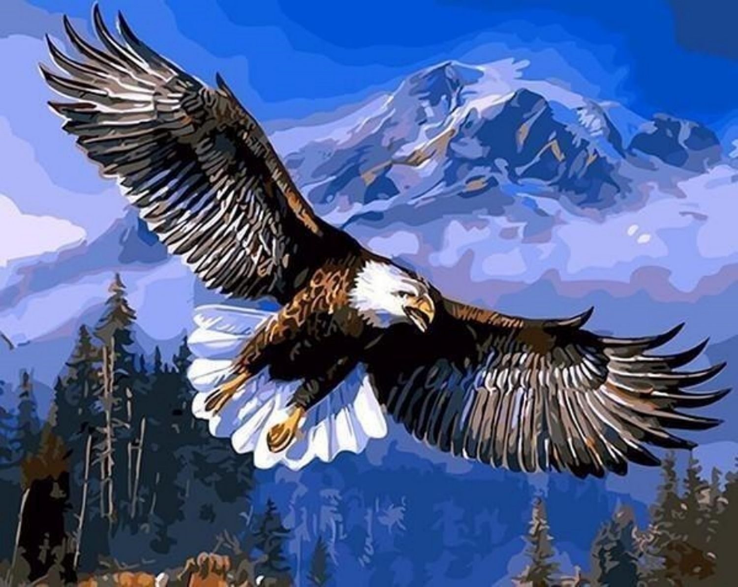 Eagle | Paint By Numbers