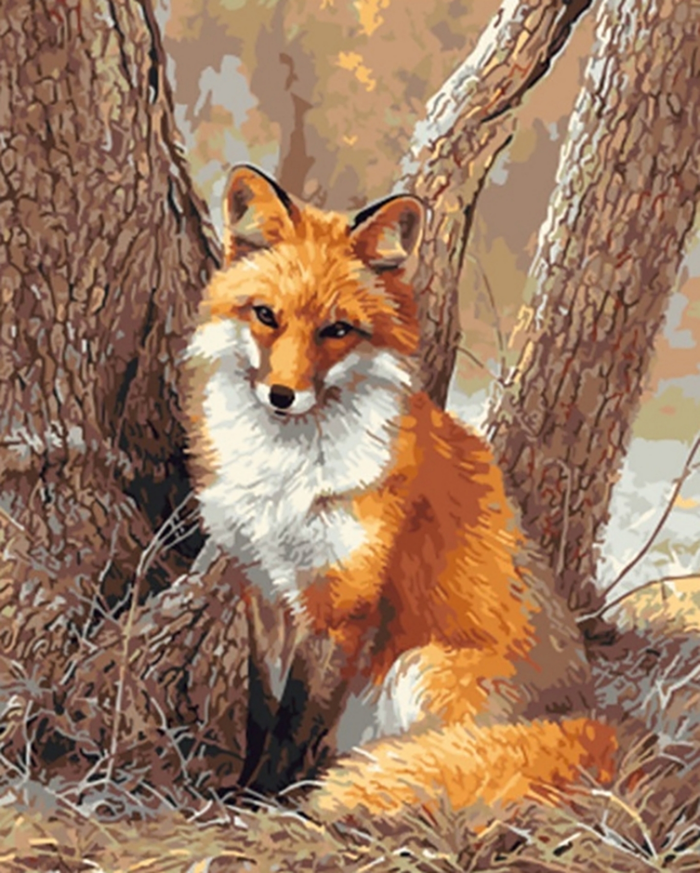Fox | Paint By Numbers