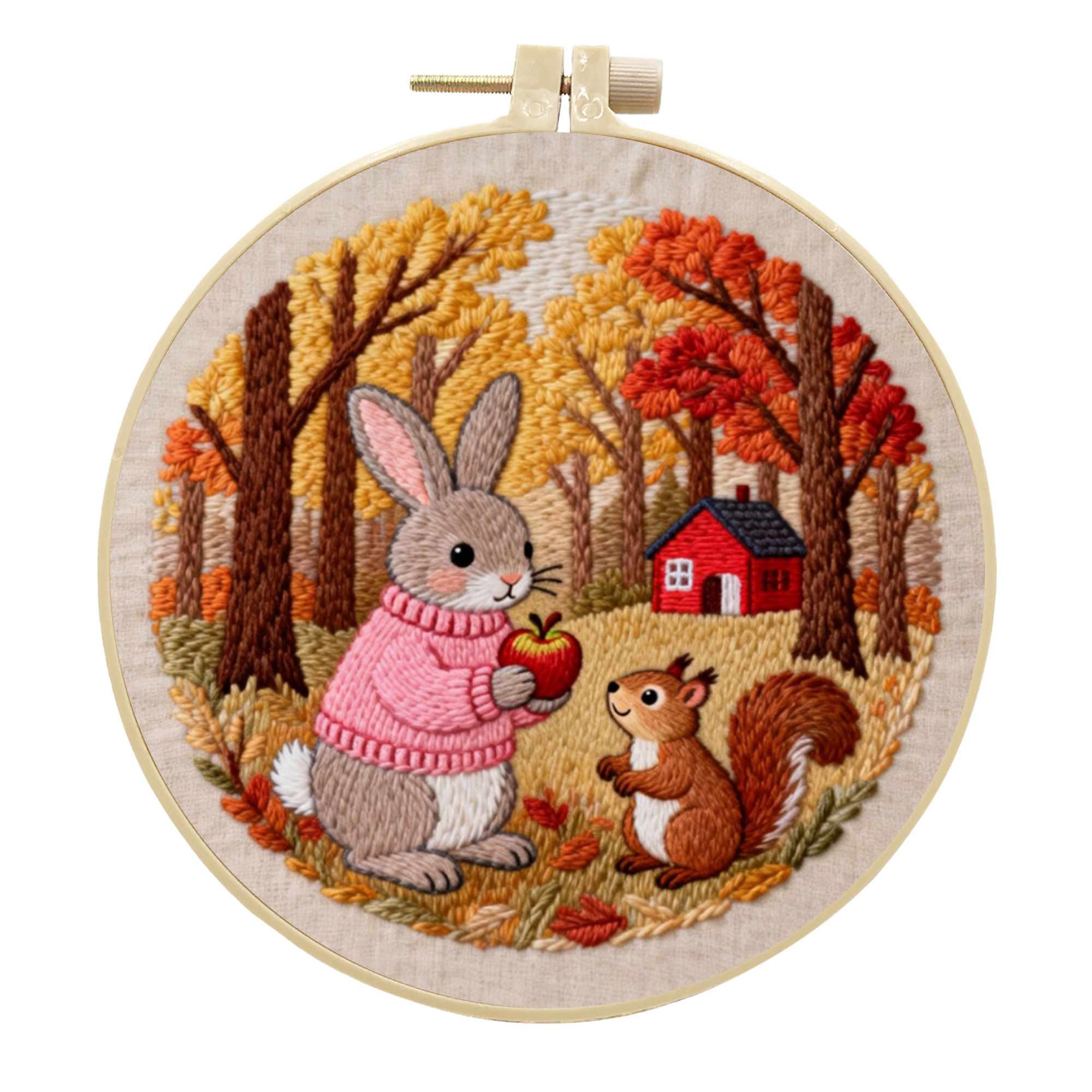 Rabbit With Squirrel | Cross Stitching Embroidery Kits for Beginners (20cm with frame)