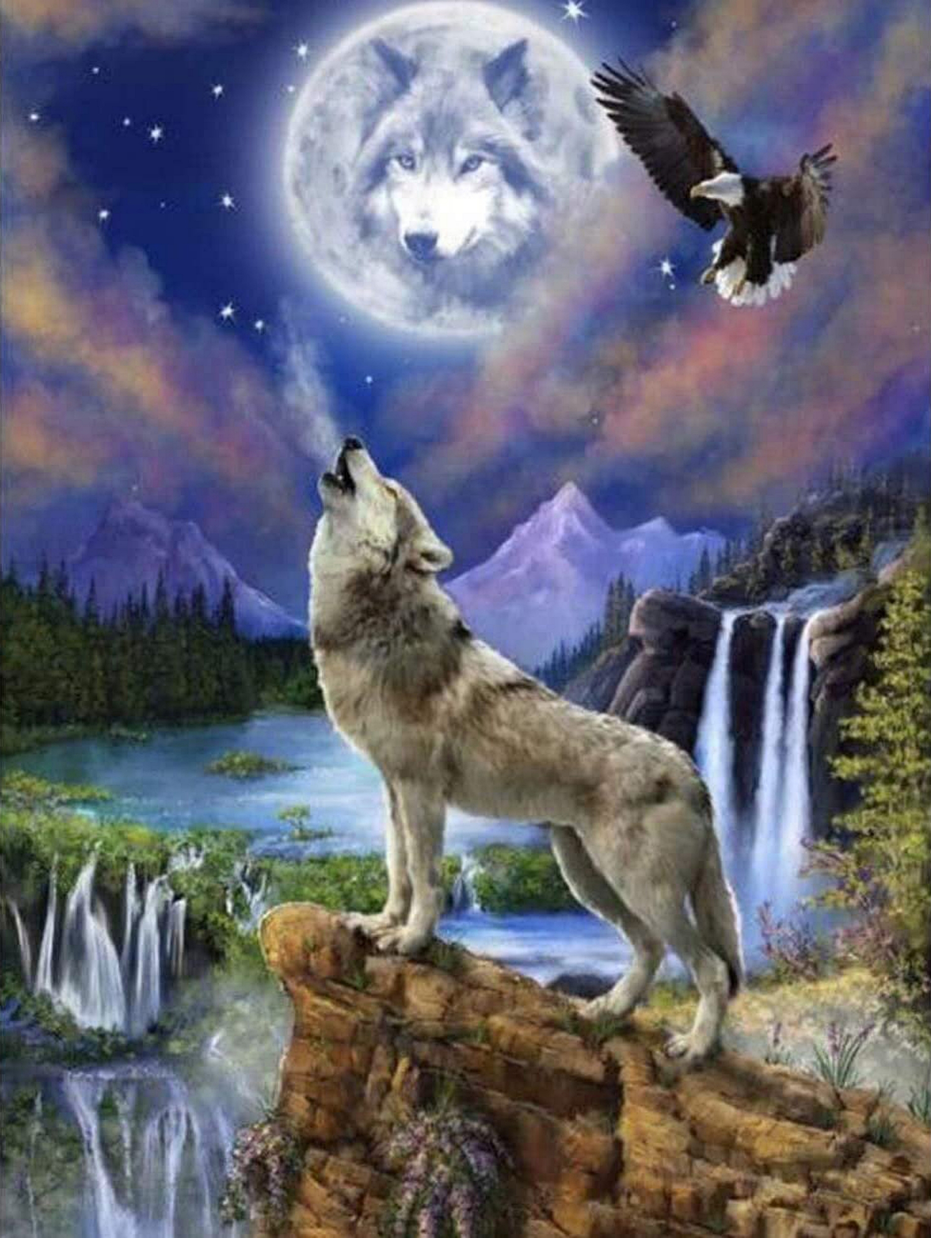 Wolf And Eagle | Diamond Painting Embroidery Kit