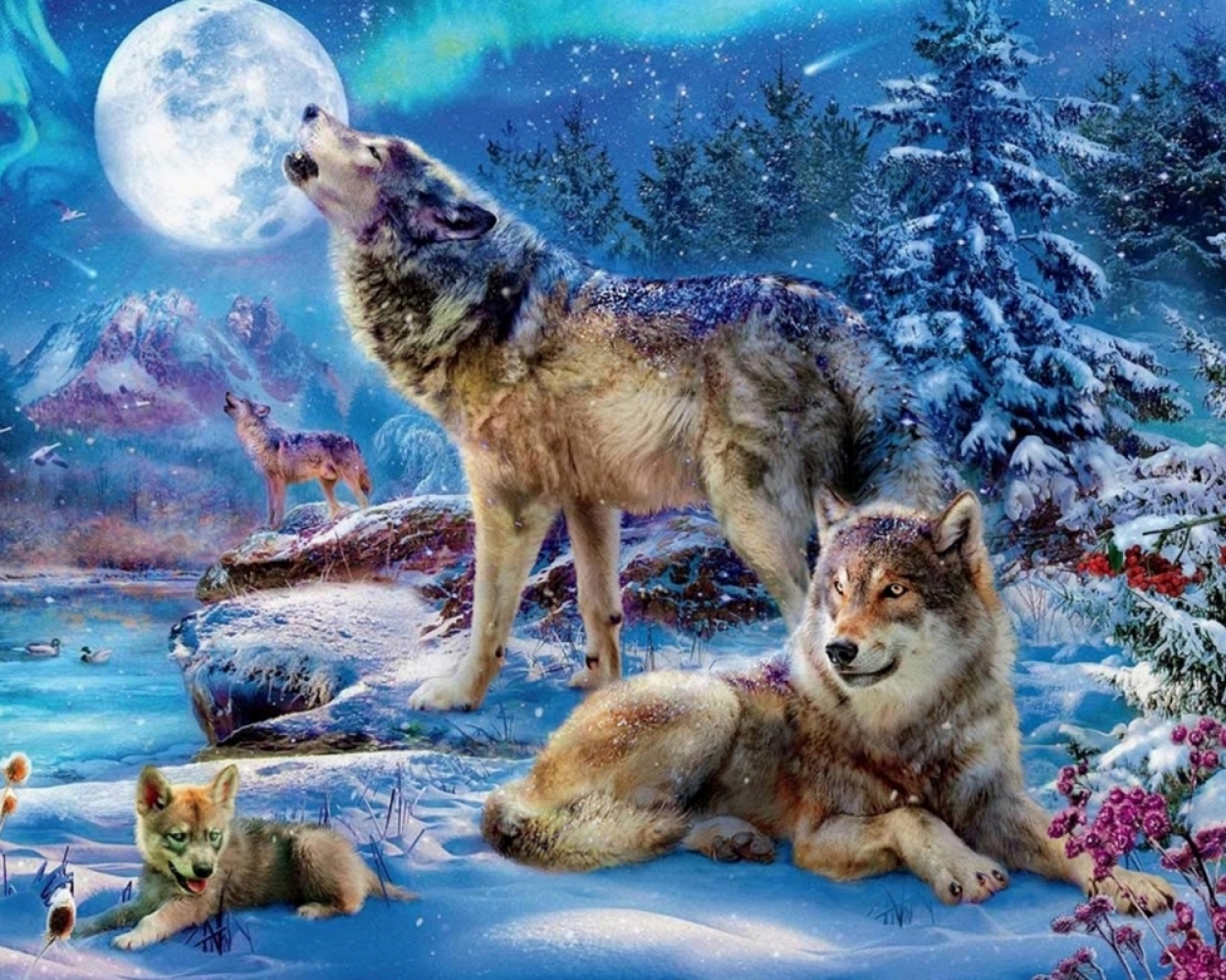 Wolves Moon | Paint By Numbers