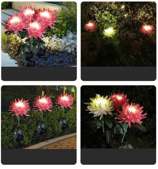 30" Chrysanthemum Solar Garden Stake LED