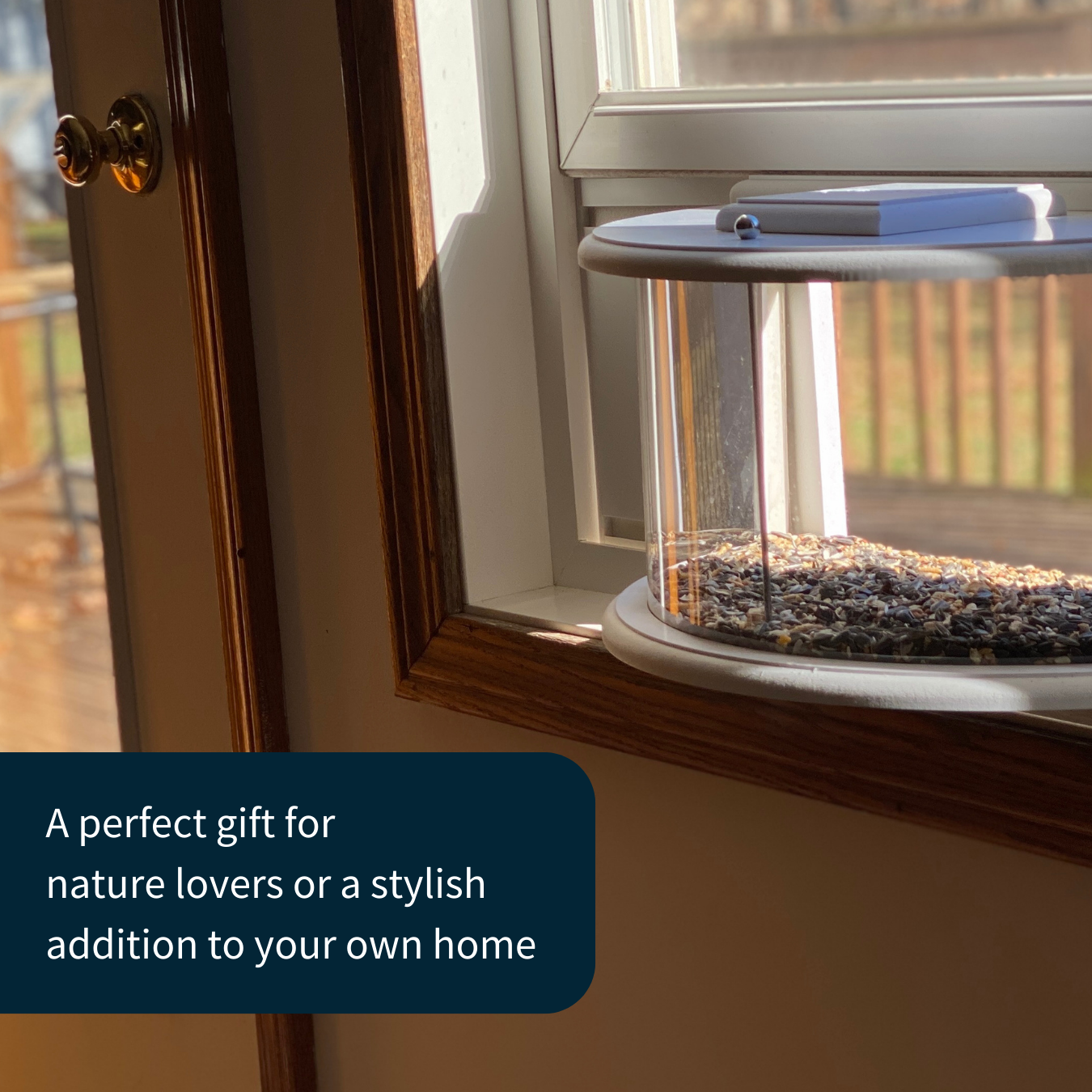 Herethan Window Bird Feeder-Watch Birds from Home