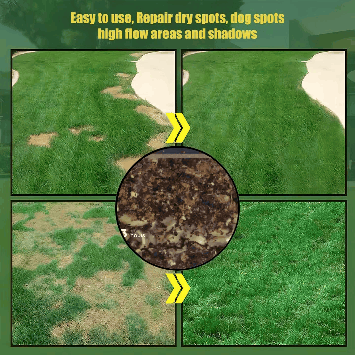 🔥⏰Last Day Promotion - 🌱 Evergreen dwarf grass seed for four seasons🌾 | Create your perfect lawn here🌼