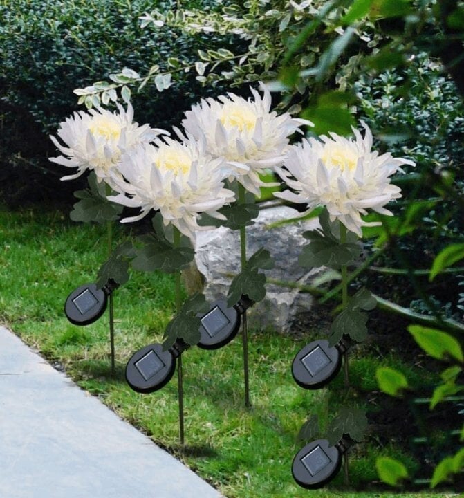 30" Chrysanthemum Solar Garden Stake LED