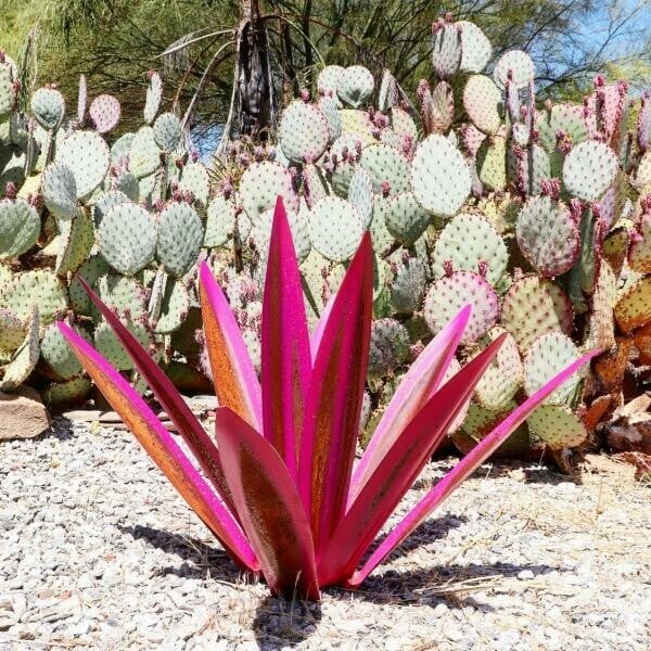 🌵HandMade Anti-rust Painted Metal CenturyPlant