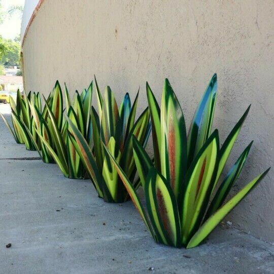 🌵HandMade Anti-rust Painted Metal CenturyPlant