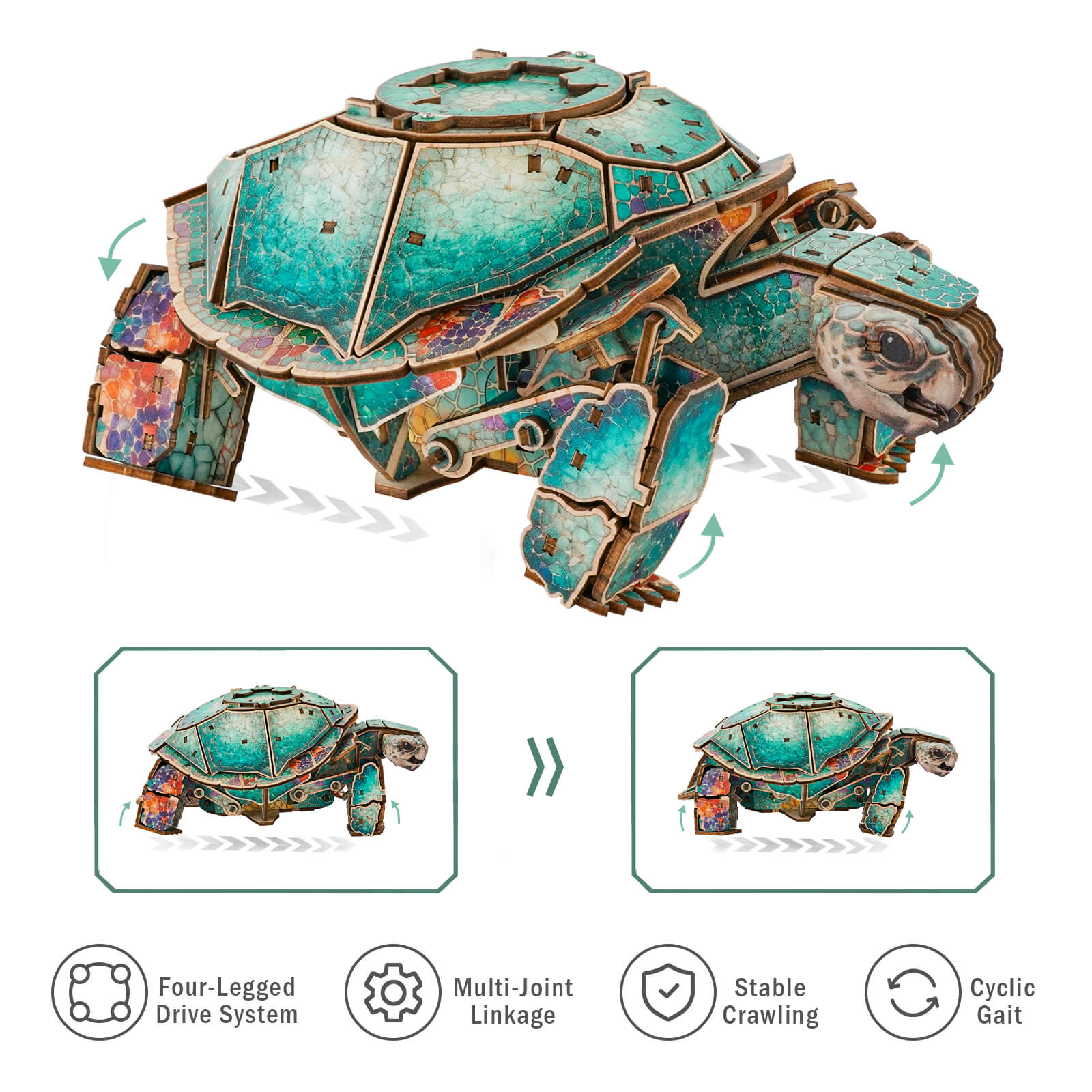 3D Wooden Mechanical Kit - Sea Turtle