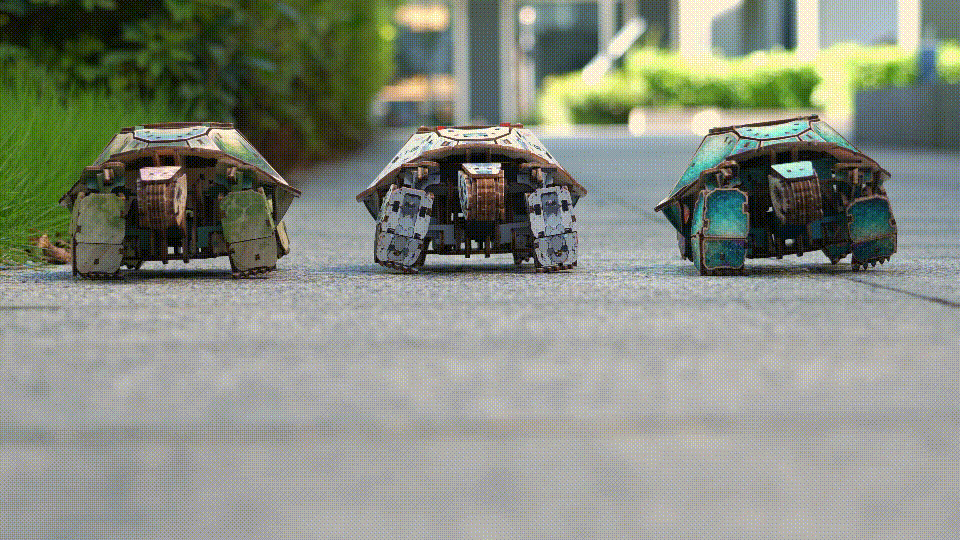 3D Wooden Mechanical Kit - Sea Turtle