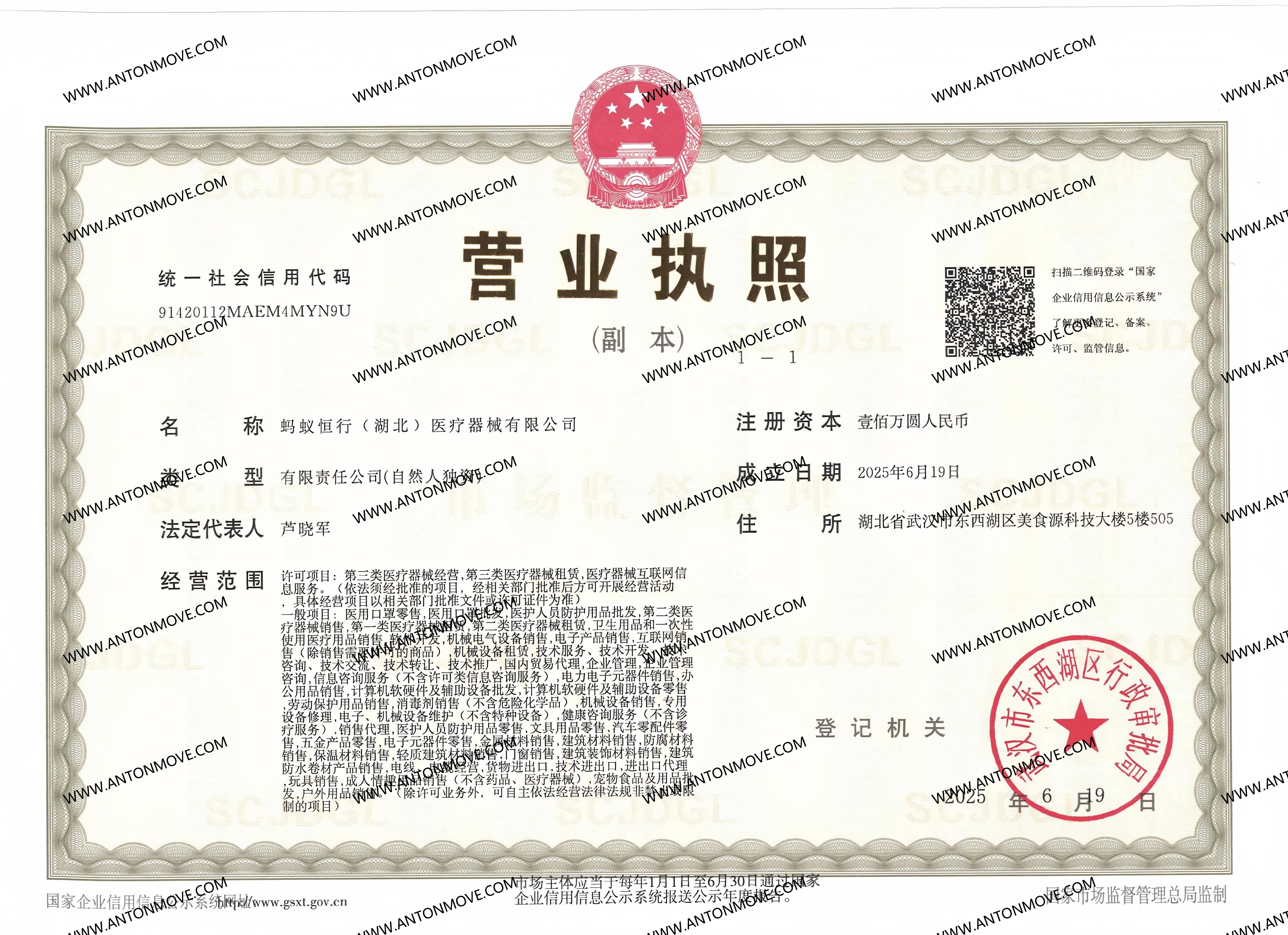 China Business License