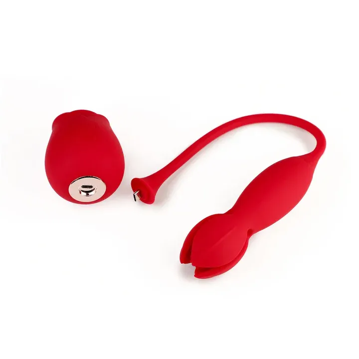 ❤️🔥2026 Trending 3-in-1 Pelvic Floor Muscle Trainer —— ROSESTAR🌹🌹🌹