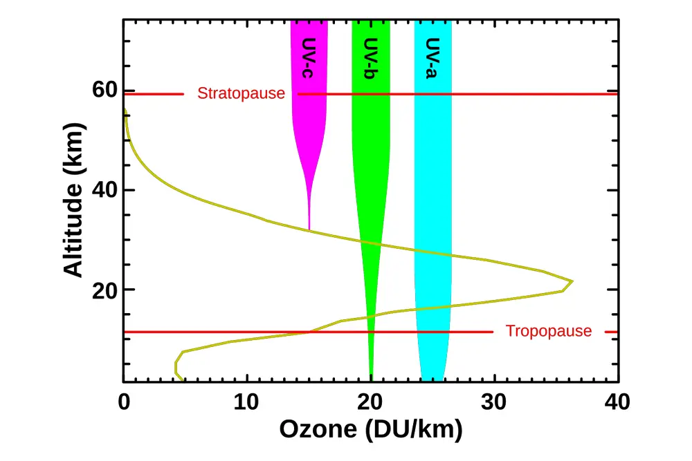NASA diagram showing ozone concentration and ultraviolet radiation at different atmospheric levels