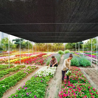 90% Blackout Sun Shade Cloth (Black) 10x13ft,UV-Resistant Shade Net.Heavy-Duty Mesh Shade Net with Reinforced Grommets,Patio, Camping, Garden, Pergola, Greenhouse Summer Essential,Privacy Screen Fence Mesh Shade Net,summervibes outdoorfun.tiktok shop deal