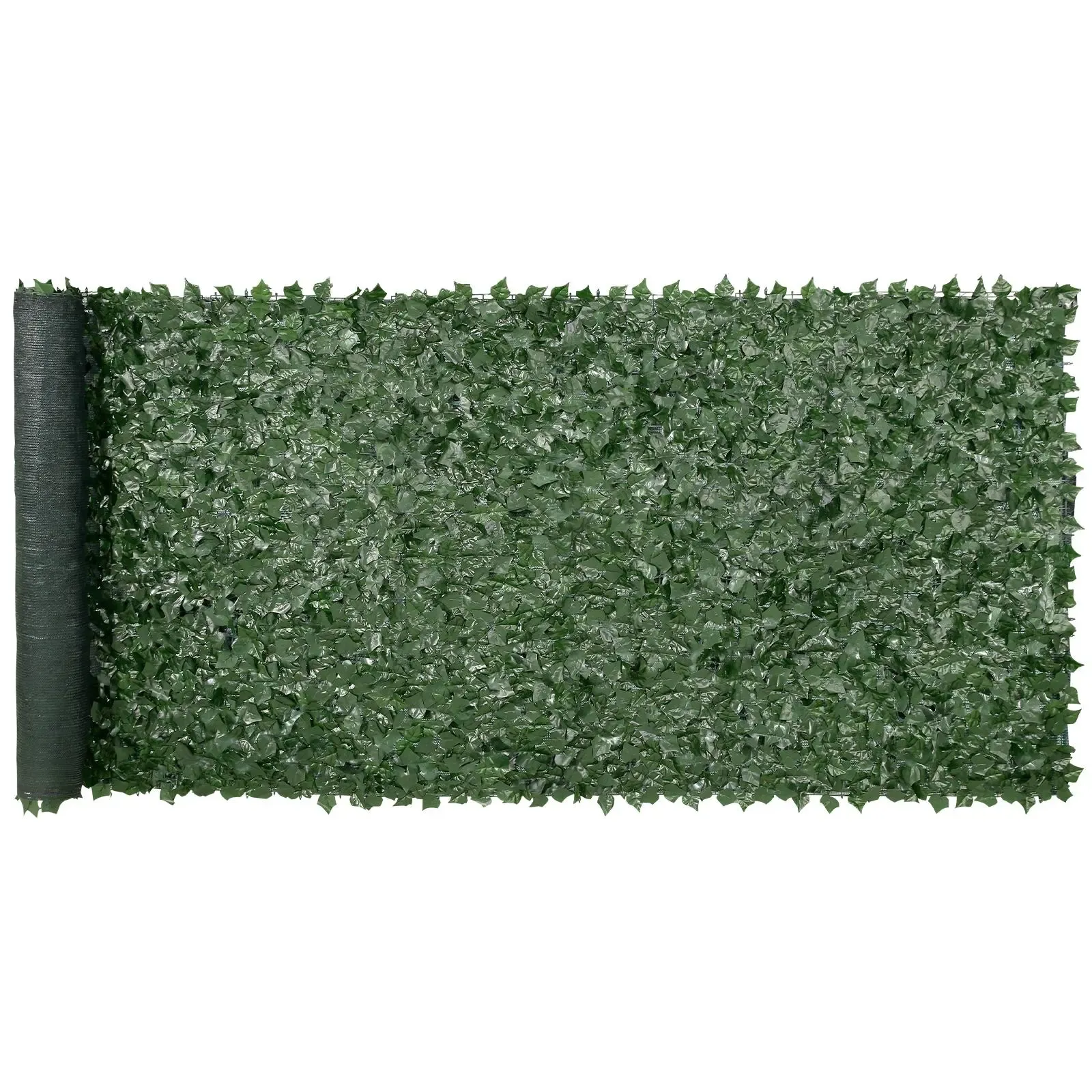 Ivy Privacy Fence