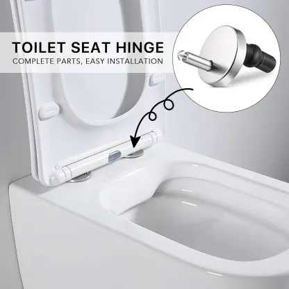 Toilet Seat Hinge Bolts Kit
