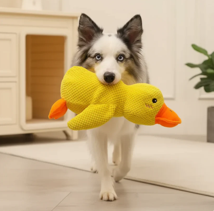 ✨✨✨Dog toys to keep them entertained: Sounding plush, chewable, durable rubber duck for puppies to sleep with.😊