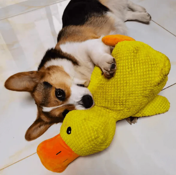 ✨✨✨Dog toys to keep them entertained: Sounding plush, chewable, durable rubber duck for puppies to sleep with.😊