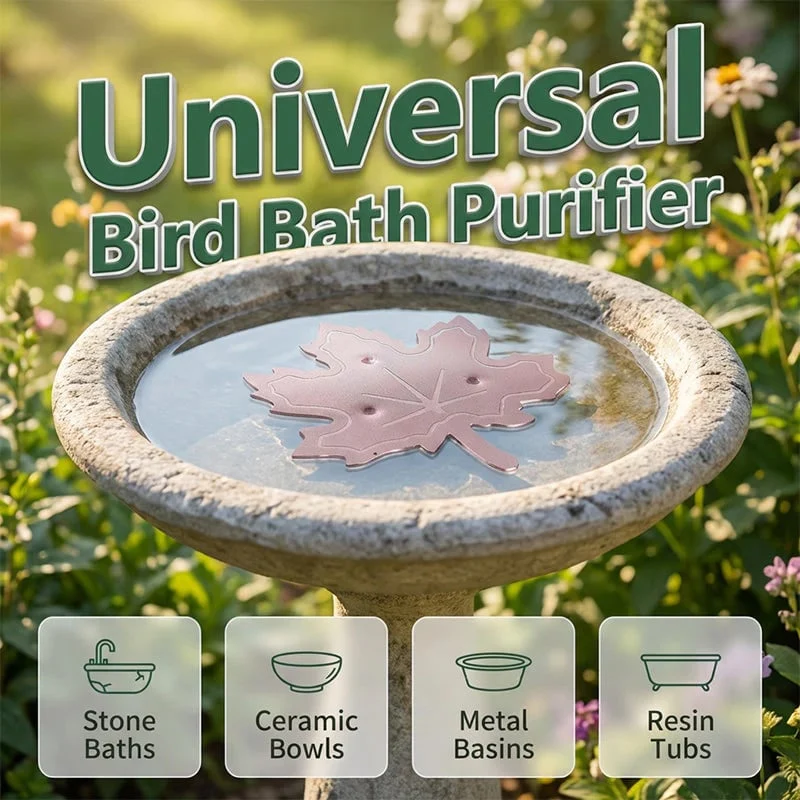 🐦 Keep Your Bird Bath Cleaner Naturally 🍁 Buy 2, Get 1 FREE