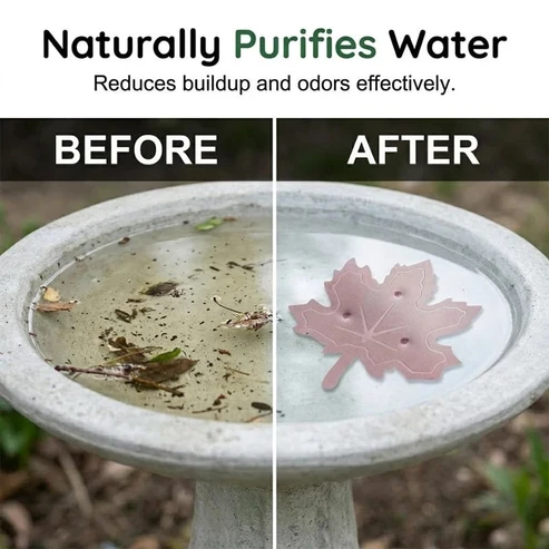 🐦 Keep Your Bird Bath Cleaner Naturally 🍁 Buy 2, Get 1 FREE