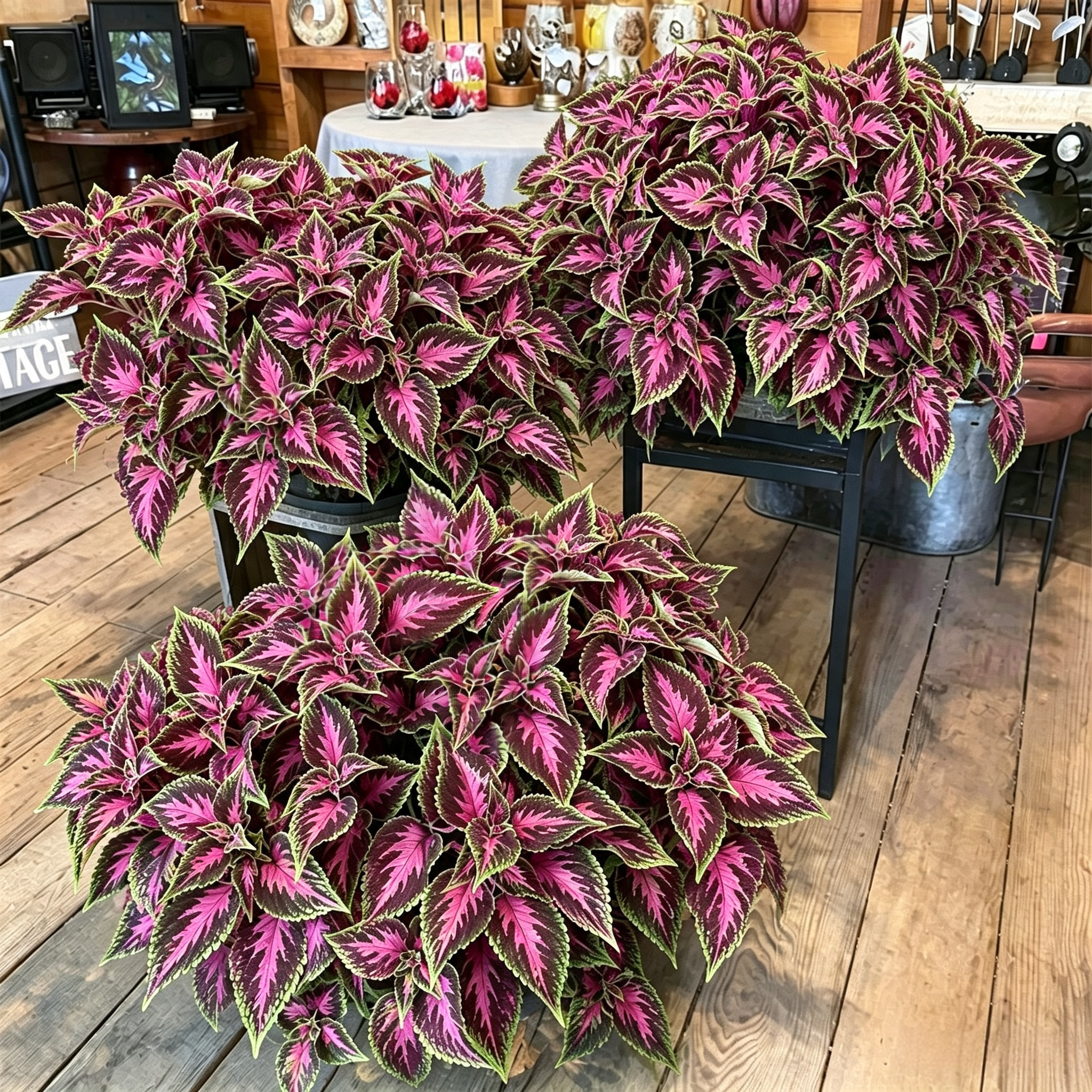 💥 BUY 1 GET 1 FREE (2 PCS)🔥 UV-Resistant Artificial Perilla Foliage – Beautiful, Full & Maintenance-Free!