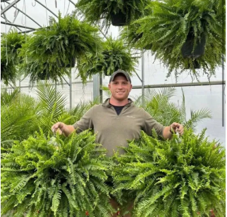 🔥Sale Only Today 🌱 UV Resistant Ferns Artificial Plants Large for Planters, Office & Home Decor, Outdoor & Indoor