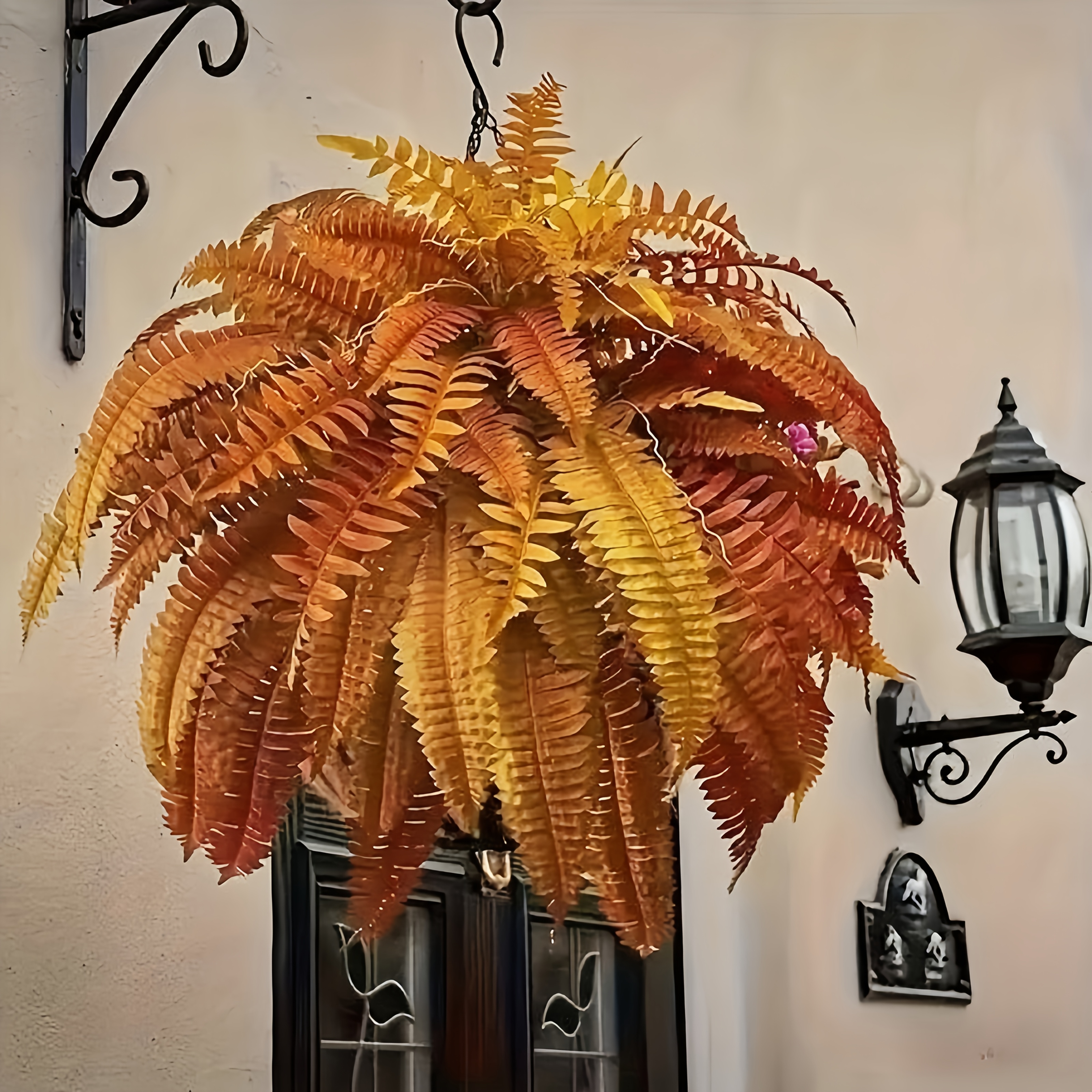 🔥$9.98Only🍂UV Resistant Lifelike Artificial Autumn-toned Boston Fern🍁