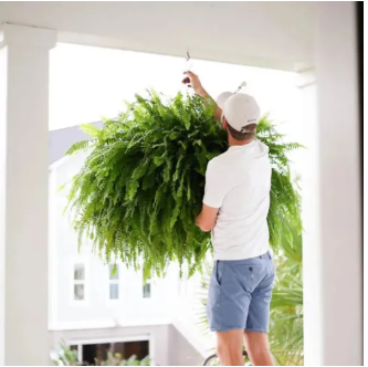 🔥Sale Only Today 🌱 UV Resistant Ferns Artificial Plants Large for Planters, Office & Home Decor, Outdoor & Indoor