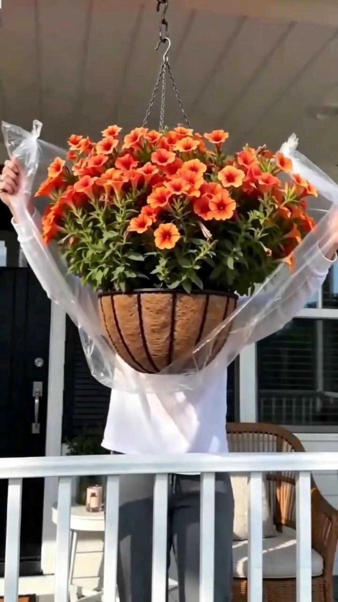 💥Last Day 60% OFF🔥UV Resistant Artificial Petunias Flowers